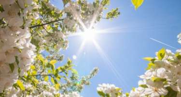 Mis.Az - Son Xeberler