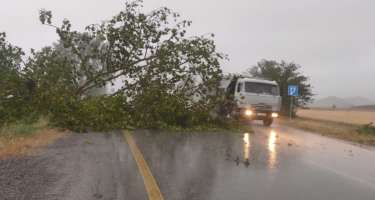 Mis.Az - Son Xeberler