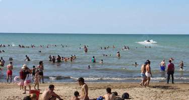 Mis.Az - Son Xeberler