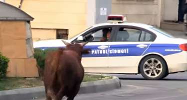 Mis.Az - Son Xeberler