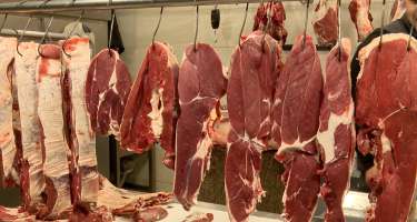 Mis.Az - Son Xeberler