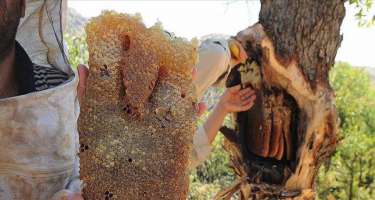 Mis.Az - Son Xeberler