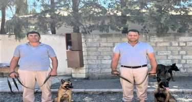 Mis.Az - Son Xeberler