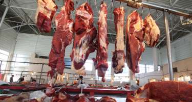 Mis.Az - Son Xeberler