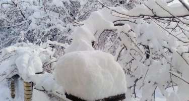 Mis.Az - Son Xeberler