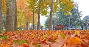 Mis.Az - Son Xeberler