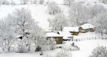 Mis.Az - Son Xeberler