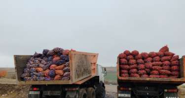 Mis.Az - Son Xeberler