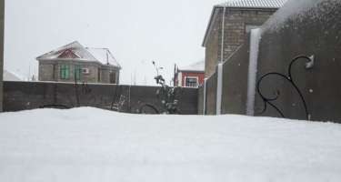 Mis.Az - Son Xeberler