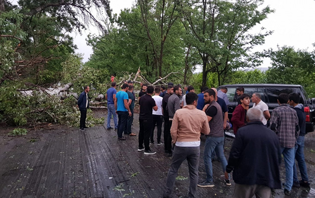 Mis.Az - Son Xeberler