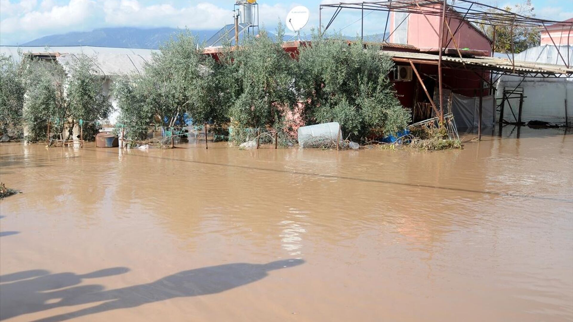 Mis.Az - Son Xeberler