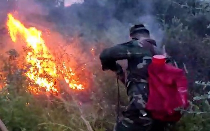 Mis.Az - Son Xeberler