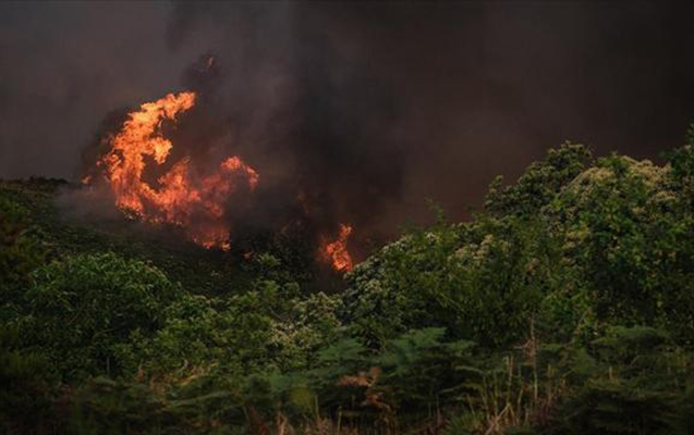 Mis.Az - Son Xeberler