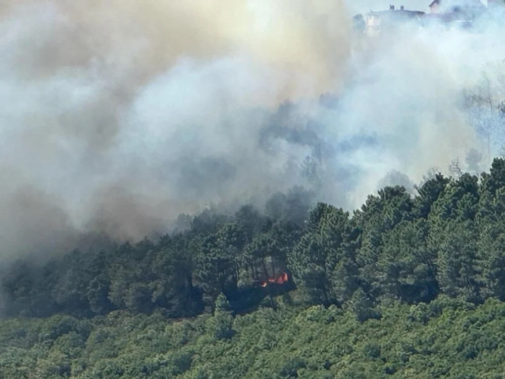 Mis.Az - Son Xeberler