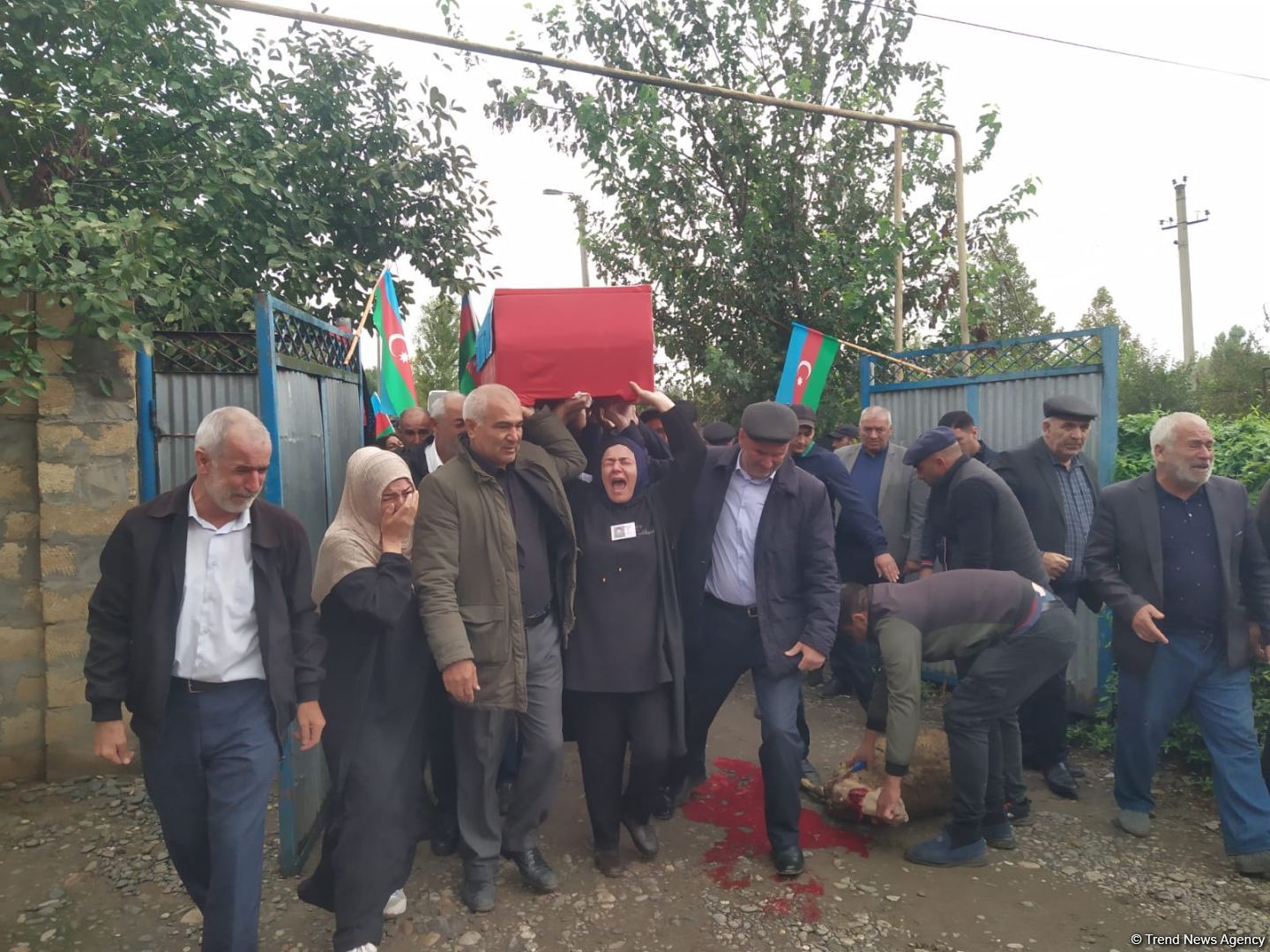 Mis.Az - Son Xeberler