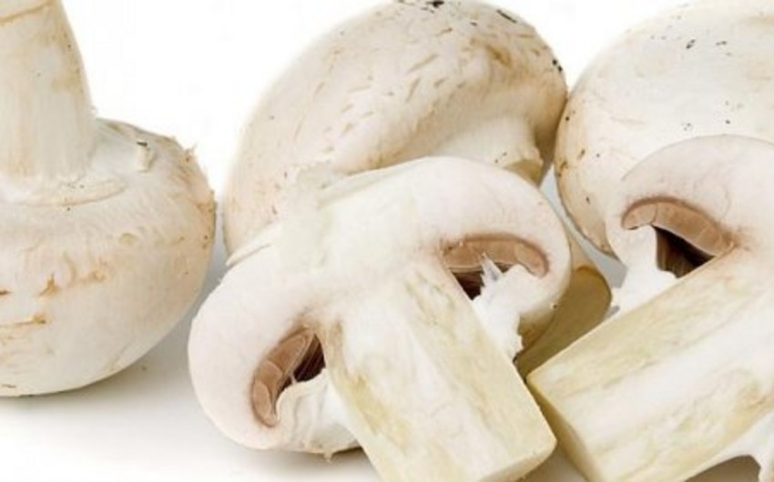 Mis.Az - Son Xeberler